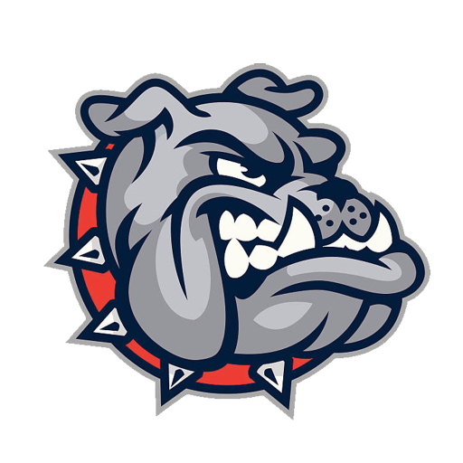 P.S. 41 X logo