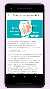 Скриншот