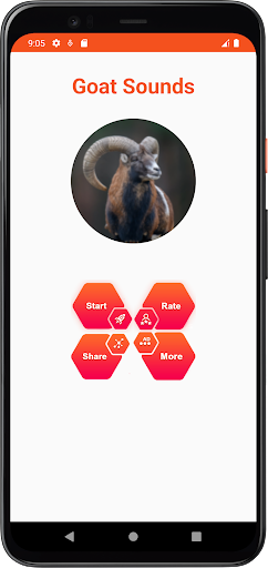 Goat Sounds Screen 2