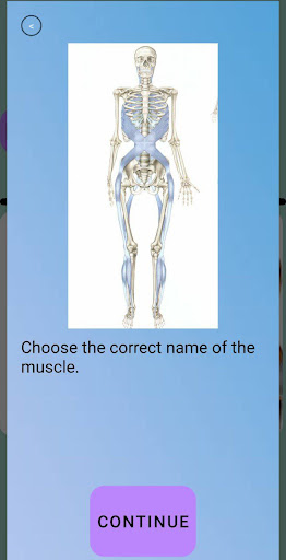 Human Anatomy Explorer Screen 3