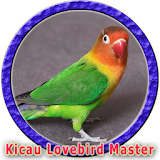 Kicau Lovebird Juara Gacor icon