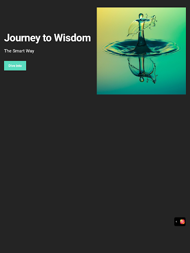 Bekas Wisdom Screen 3