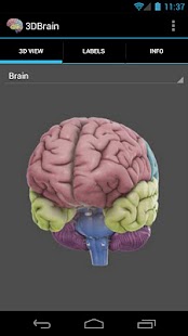 3D Brain Screenshot