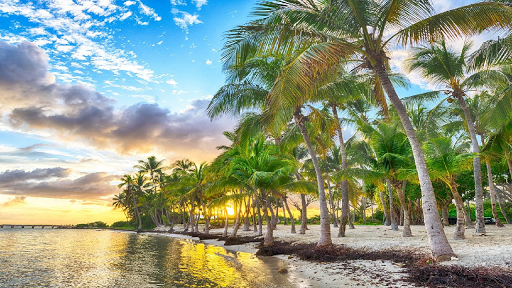 the beauty of guadeloupe Screen 3