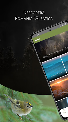 România Sălbatică