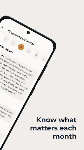 Avla Screenshot 3 - AppWisp.com