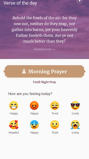 Android application KJV Holy Bible - Daily Verse screenshort