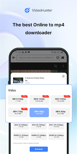 VideoHunter Screen 2