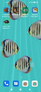 Discus Fish Aquarium LWP