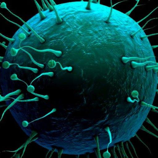 Goodness of Viruses logo