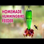 Cover Image of डाउनलोड Homemade hummingbird feed  APK