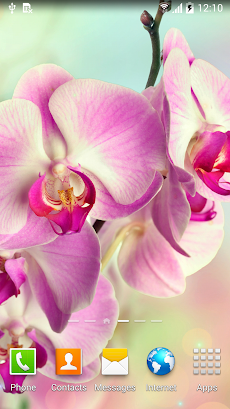 Orchids Wallpaperのおすすめ画像3