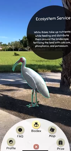 Android application Everglades Safari AR screenshort