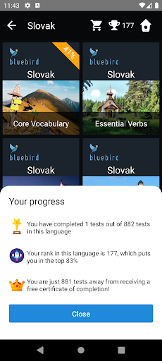Slovak Language Tests Screen 3