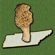 Tennessee Mushroom Forager Map Morels Chanterelles