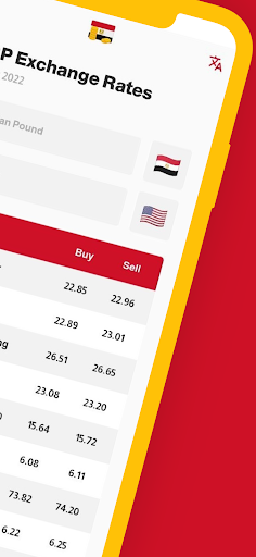 Egyptian Pound Exchange Rates Screen 2