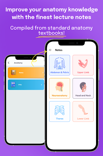 MemoAnatomy-NEETPG & Univ Prep Screen 2