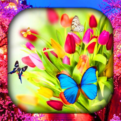 Spring Wallpaper Live HD/3D/4K  Icon