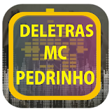 MC Pedrinho de Letras icon