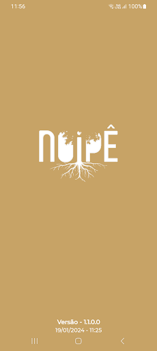 Android application Noipê screenshort