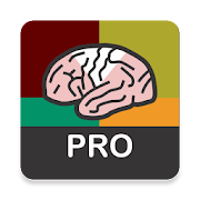 NIH Stroke Scale (NIHSS) pro