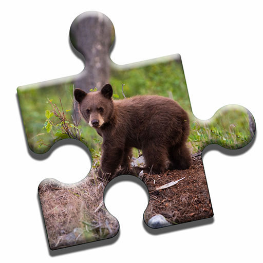 Bear Love Puzzle logo