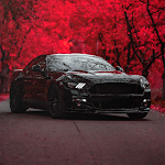 Cover Image of Unduh Themes Ford Mustang wallpapers  APK