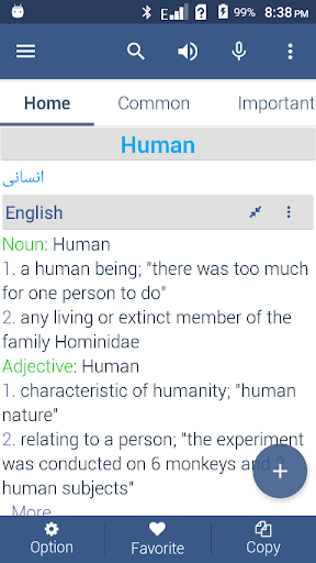 Persian Dictionary Offline Screen 3