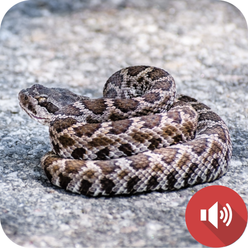 Rattlesnake Sounds logo