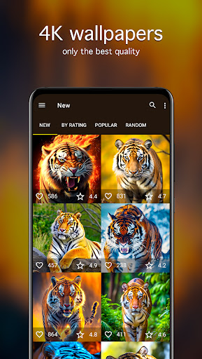 Screenshot of Tiger Wallpapers 4K