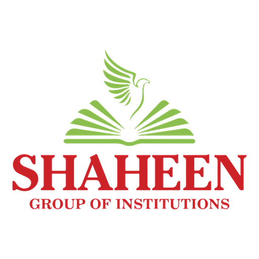 SHAHEEN ERP logo