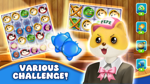 Onipepe Mini Puzzle ekran görüntüsü