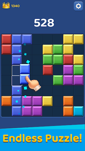 Block Master - Puzzle Game screenshot