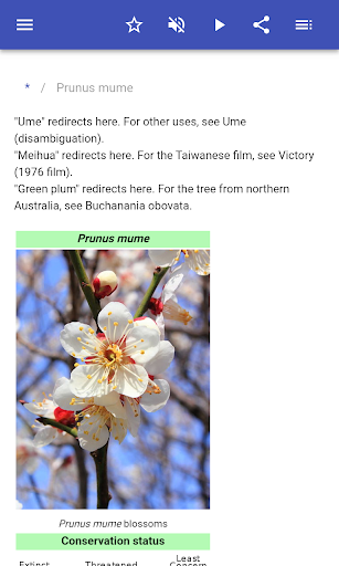 Ornamental trees Screen 2