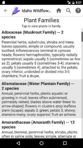 Screenshot of Idaho Wildflowers