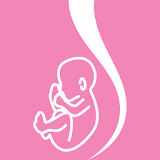 Fetal Risk icon