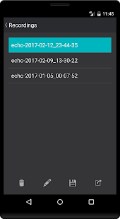 Echo Screenshot