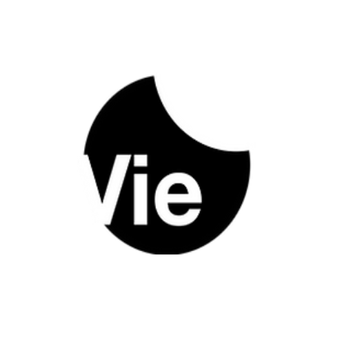 Smart Vie logo