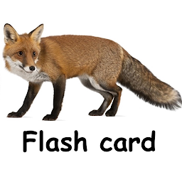Ikonas attēls “Flashcard English for beginner”