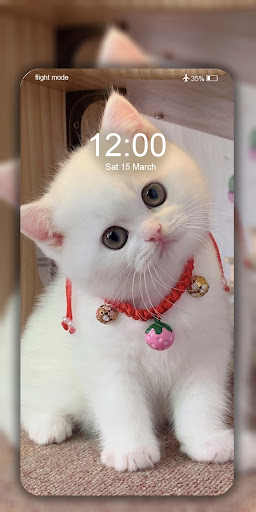 Cute Cat Wallpaper Live HD 4K screenshot 11