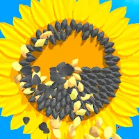 Sunflower Inc