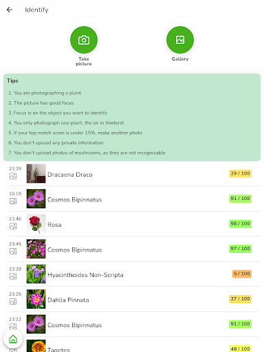 Herbal and Natural Medicine