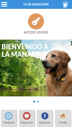 Club Mascodin Screen 2