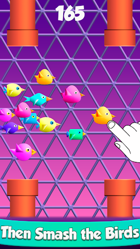 Cool Birds Fun Smash for Kids Screen 2