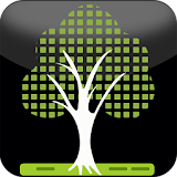 Digital Learning Tree icon