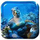 Lunch Turtle Live Wallpaper icon