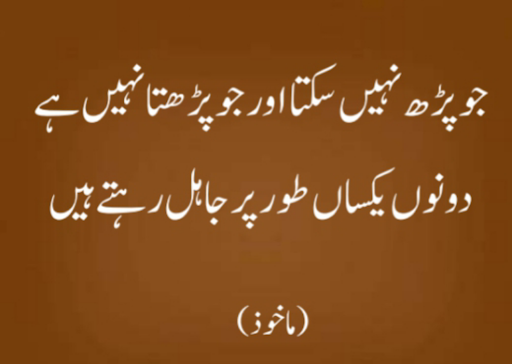 Islamic Books in Urdu offline Screenshot 3 - AppWisp.com