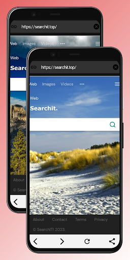 Viracore Browser Screen 3