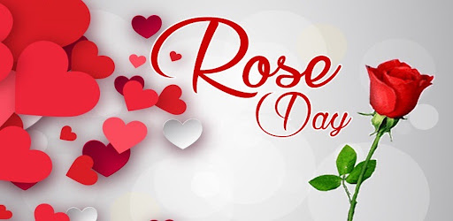 Android application Rose Day Greeting Cards. screenshort