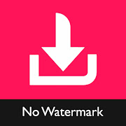  Video Downloader for TikTok - No Watermark TikMate 